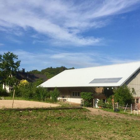 Ferienwohnung Emma Burladingen Exterior foto